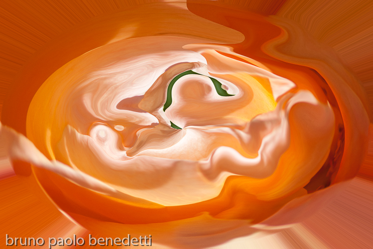 orange light and shade with many nuances and brillant tones in a womb like bright shape with red floating line inside on orange background
